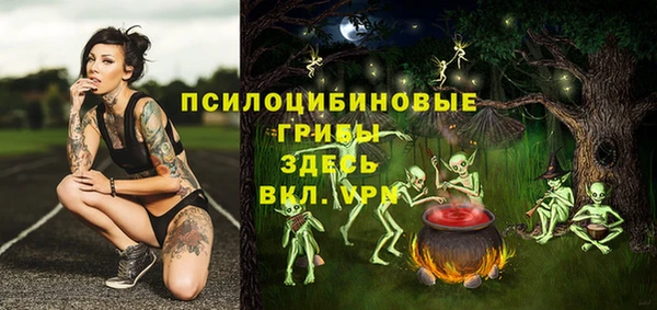 mix Алексин